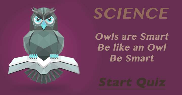 Are you as smart as an owl?